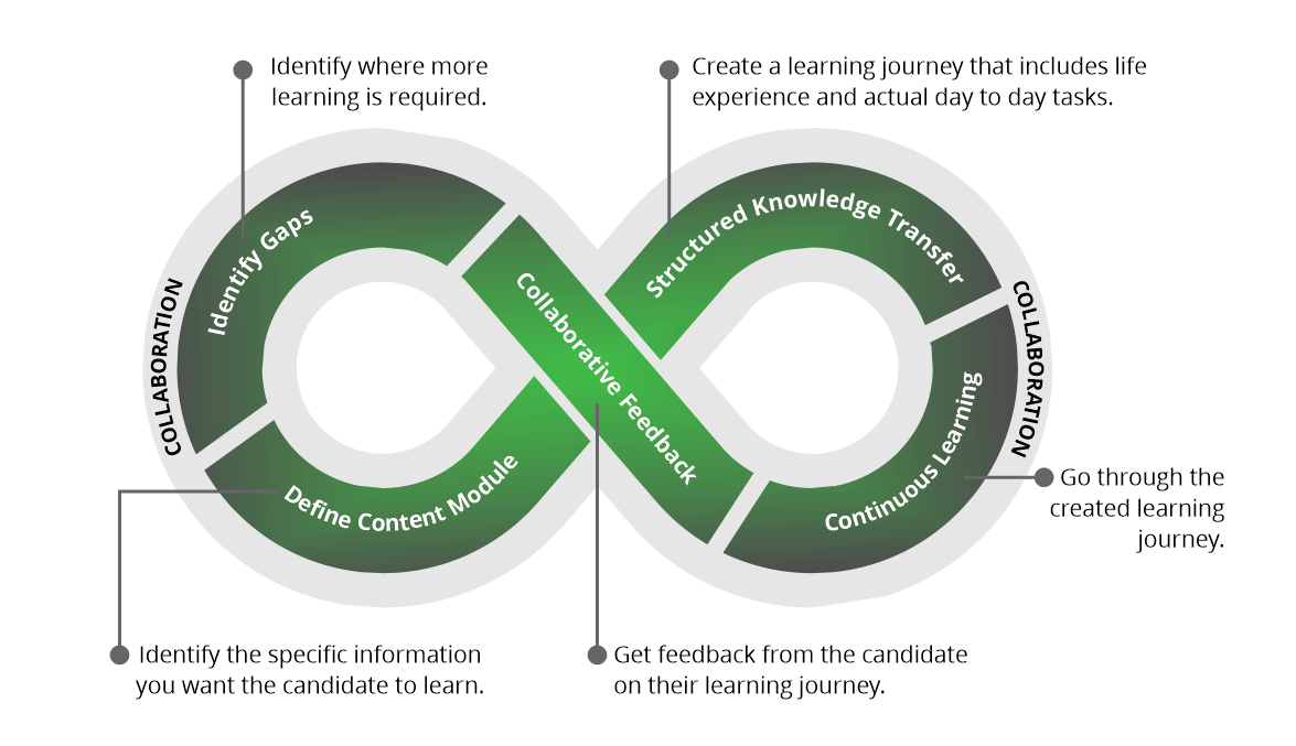 Ongoing Feedback Loop